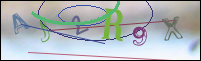Registration Image