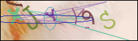 Registration Image
