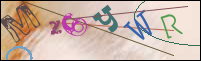 Registration Image