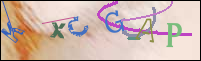 Registration Image