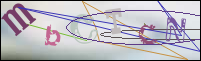 Registration Image