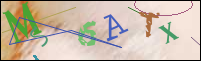 Registration Image