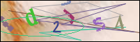 Registration Image