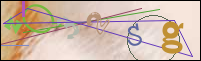 Registration Image