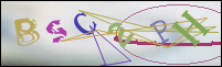 Registration Image