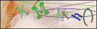 Registration Image