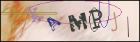 Registration Image