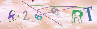 Registration Image