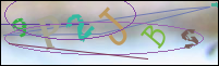 Registration Image