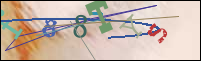 Registration Image