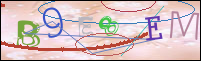 Registration Image