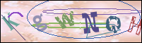 Registration Image