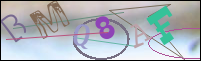Registration Image