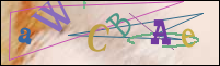 Registration Image