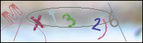 Registration Image