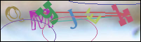 Registration Image