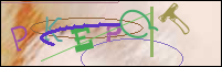 Registration Image