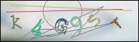 Registration Image