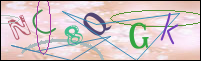 Registration Image