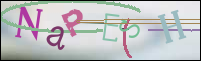 Registration Image