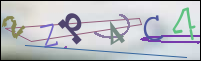 Registration Image