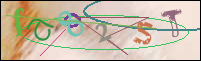 Registration Image