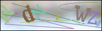 Registration Image