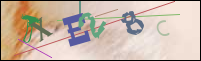 Registration Image