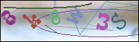 Registration Image