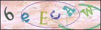 Registration Image