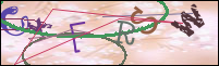 Registration Image