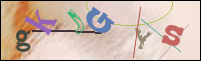 Registration Image