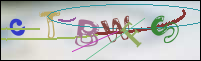 Registration Image