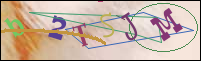 Registration Image