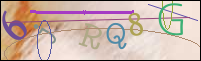 Registration Image