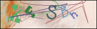 Registration Image