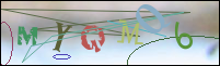 Registration Image