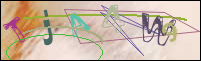 Registration Image
