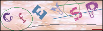 Registration Image