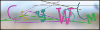 Registration Image