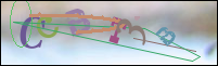 Registration Image