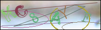 Registration Image