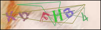 Registration Image