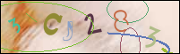 Registration Image