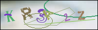 Registration Image