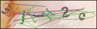 Registration Image