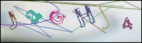 Registration Image