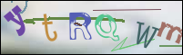 Registration Image
