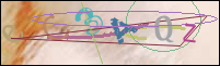 Registration Image