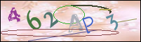 Registration Image